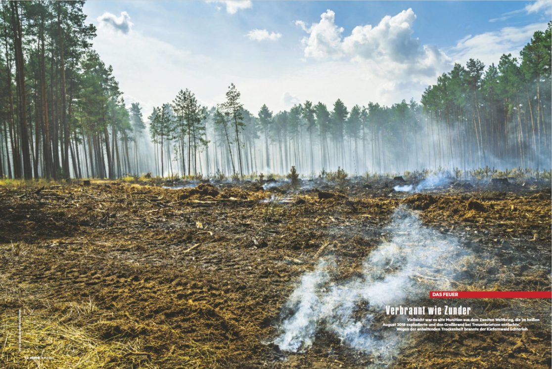 Stern 9.9.2_Stern Waldgeschichte Weyand Krenz