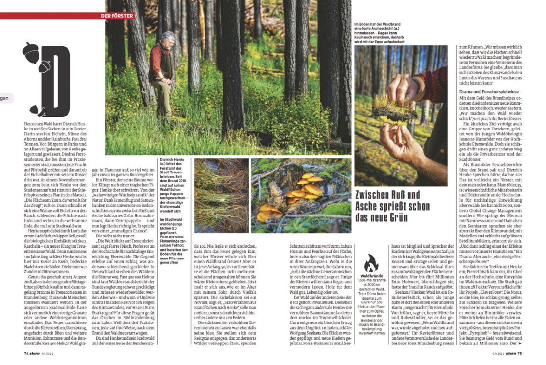 Stern 9.9.2_Stern Waldgeschichte Weyand Krenz
