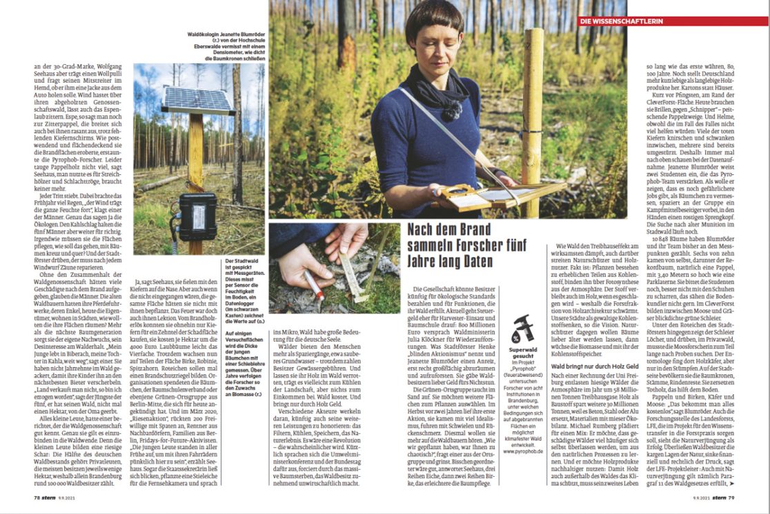 Stern 9.9.2_Stern Waldgeschichte Weyand Krenz