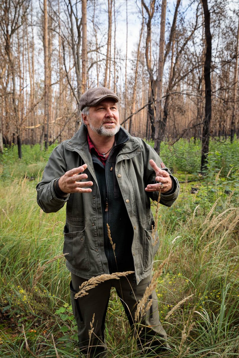 Stadtförster Dietrich Henke erklärt seine Methoden zum klimagerechten Waldumbau nach Waldbrand