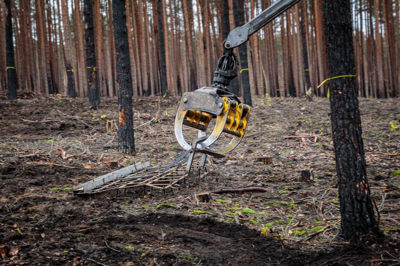 Ein Harvester pflügt Samen schonend mit einem Gitter in den Waldboden ein.