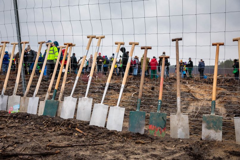 Schaufeln, Baumpflanzaktion auf den gerodeten Brandflächen der Waldgenossenschaft Bardenitz e.V.
